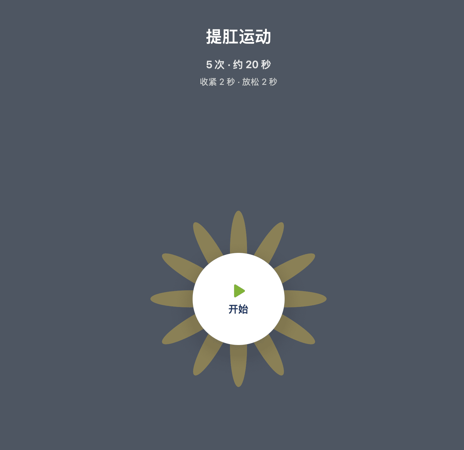 提肛运动